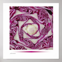 purple cabbage poster