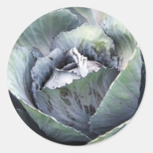 purple cabbage stickers