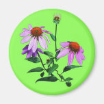 Purple Coneflower On Green Fridge Magnet