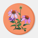 Purple Coneflower On Orange Refrigerator Magnet