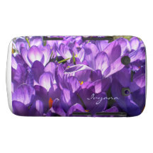 Purple Crocus Blackberry Bold Case *Personalise*