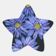 Purple Daisies Star Stickers