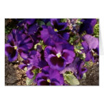 Purple Flower In Park Greeting Card