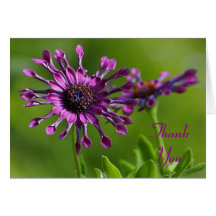 purple flower Thank You Note Card