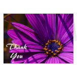 purple flower with pollen Thank You Note Card