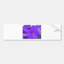 Purple Flowers Bumper Sticker
