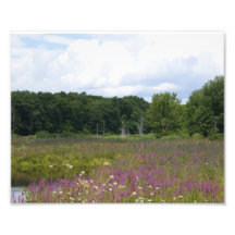 Purple Glory 4 of 9 - 10x8 Photographic Print