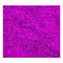 Purple grass pattern photographic print