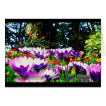 Purple! Greeting Cards