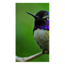 Purple Hummingbird Business Card