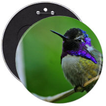 Purple Hummingbird Pin