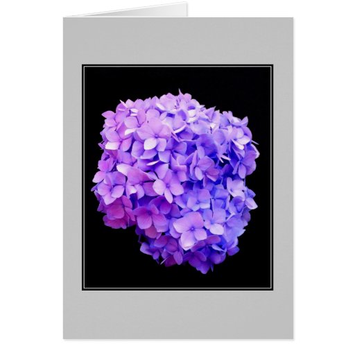 'Purple Hydrangea Bloom' Blank Note Card
