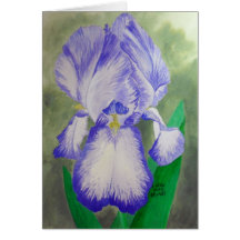 Purple Iris Card