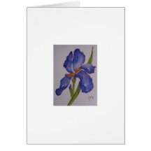 Purple Iris Cards