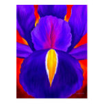 Purple Iris Flower Painting Art - Multi Post Cards