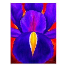 Purple Iris Flower Painting Art - Multi Post Cards