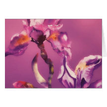 purple iris greeting cards