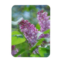 Purple Lilac Flowers Premium Magnet