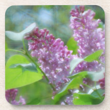 Purple Lilac Flowers Set of Coasters