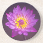 Purple Lotus Flower Beverage Coaster
