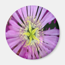 purple-mum-w-yellow star fridge magnet