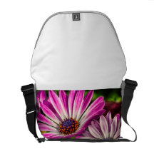 Purple Osteospermum Messenger Bags