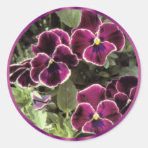 Purple Pansies Round Stickers