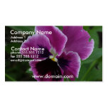 Purple Pansy Business Card