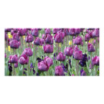 Purple Paradise Tulips Personalized Photo Card