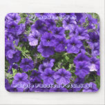 Purple Passion Petunias Mousepad