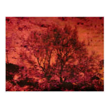 Purple Passion Postcard
