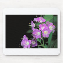 purple phacelia mouse pads