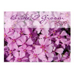 Purple Phlox • RSVP Postcard