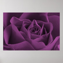 Purple Rose Gothic Poster