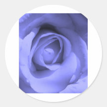 Purple Rose Round Stickers