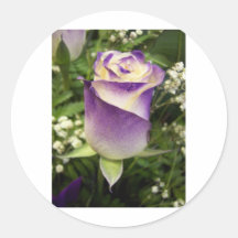Purple rose sticker