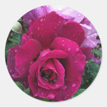 Purple Rose Stickers