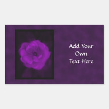 Purple Rose. With Black and Dark Purple. Rectangle Sticker