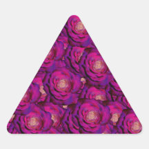 Purple roses triangle stickers