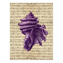 Purple shell on vintage letter  background postcards