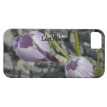 Purple Spring; Customisable