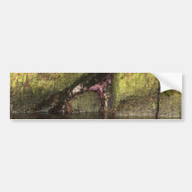 Purple Starfish Bumper Stickers