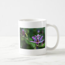 Purple Tricyrtis Toad Lily flower mugs