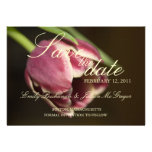 Purple Tulip • Save the Date Announcement