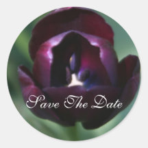 Purple Tulip Save The Date Wedding Sticker
