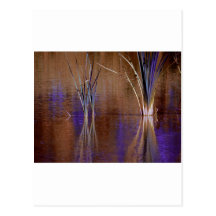 Purple waterscape postcards
