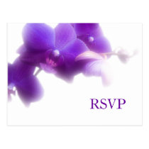 Purple Wedding RSVP Postcard postcards