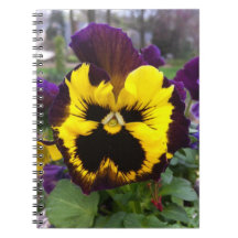 Purple & Yellow Pansy Notebook