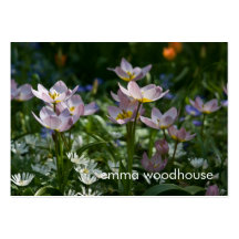 Purple & Yellow Tulips DSC0853 Business Card Templates