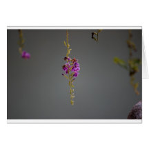 Purple Zen Flower Greeting Cards